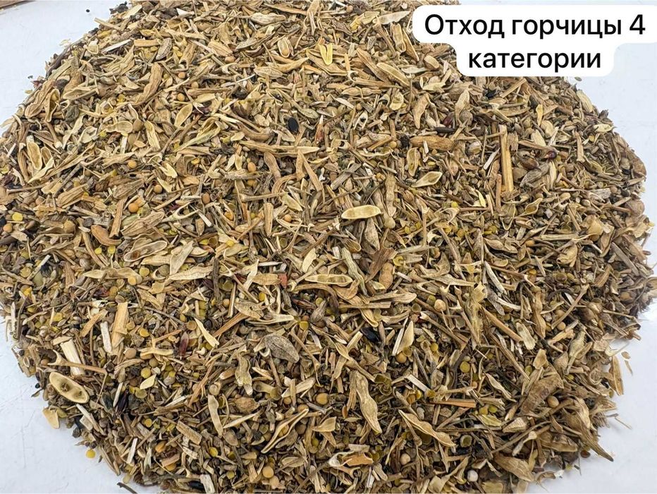 Продажа отходов горчицы и чечевицы
