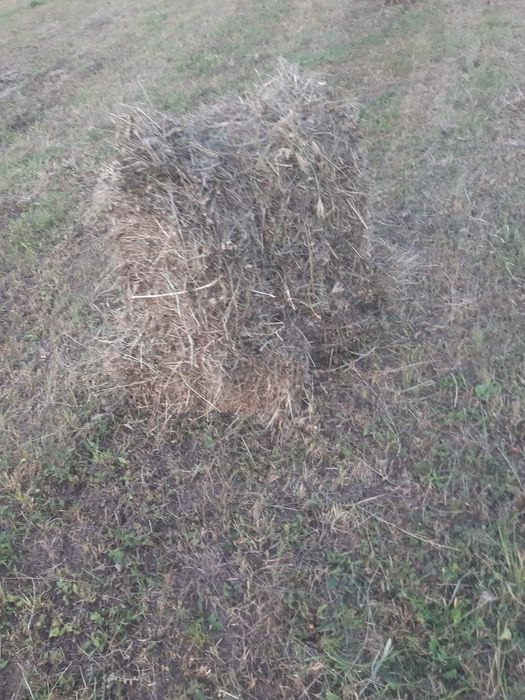 Vând  baloti de fan