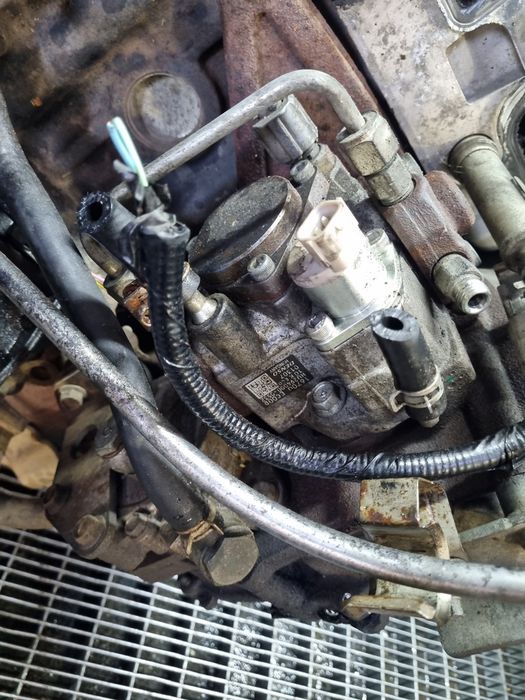 Motor Nissan Pathfinder 2.5 Diesel D40 2004 - 2010 174CP Manuala YD25DDTi (1558) Diesel 4x4 CU POMPA INJECTIE INALTE Garantie