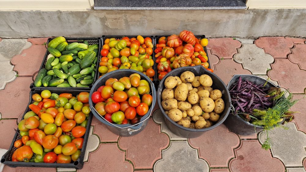 Продам солёные  помидоры