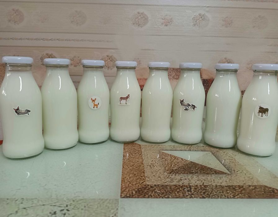 Vând lapte de măgăriță Premium.