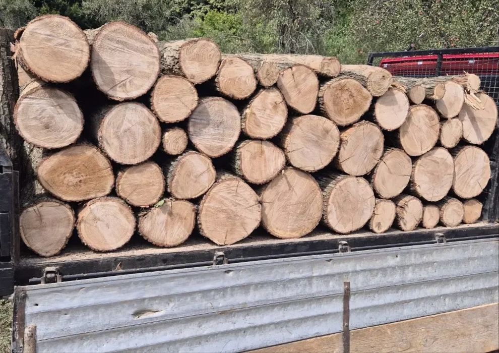 Lemne de foc esențe tarii[Fag,Gorun,Carpen,Cer]