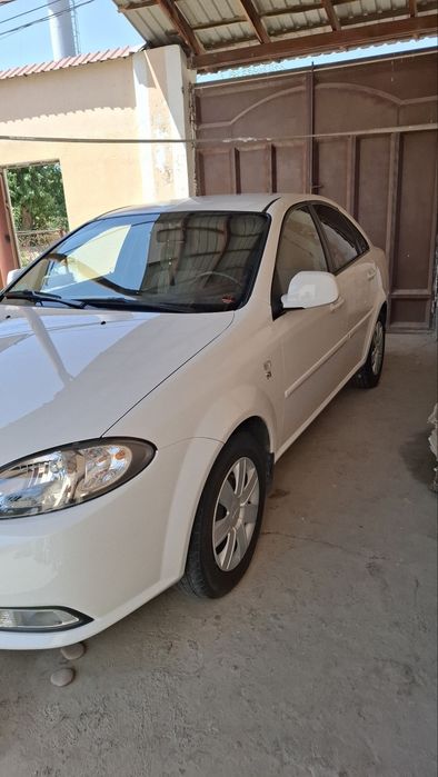 Jentra oq ranli 2023 yil