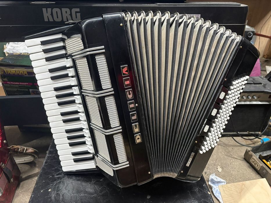 Acordeon Delicia cu 96 de basi