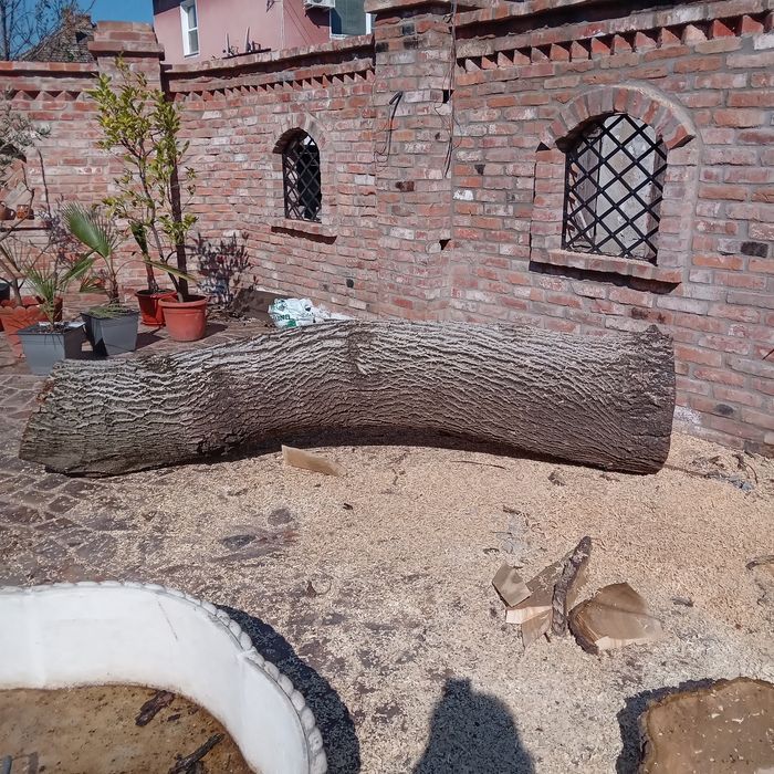 Tulpină NUC, lungime 2,5m