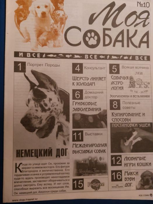 Немецкий  дог  порода