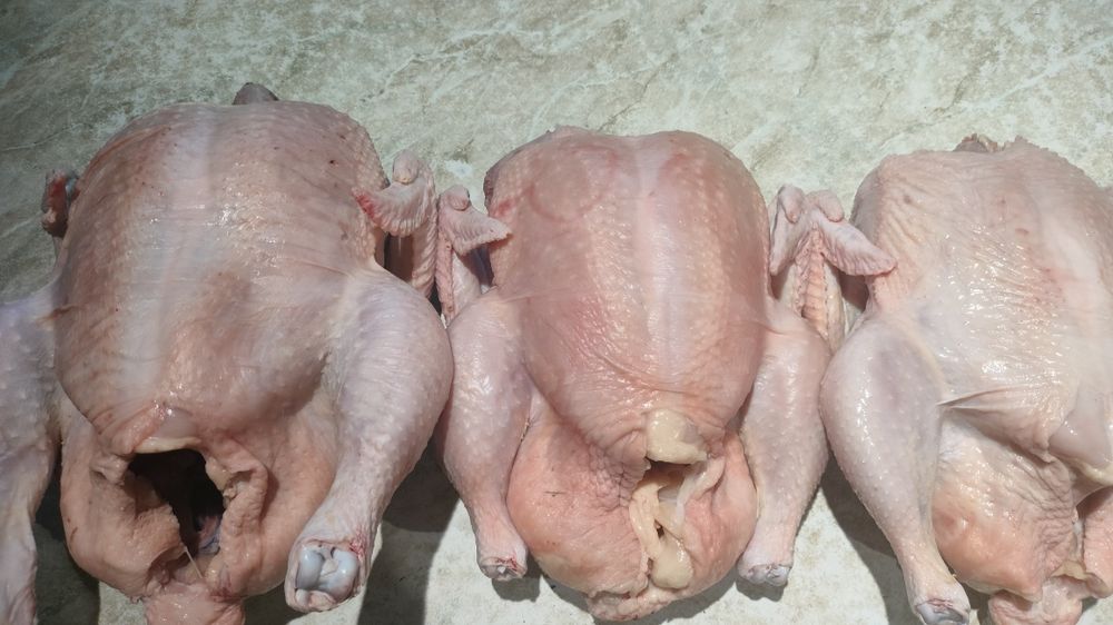 Продам мясо куриное бройлер