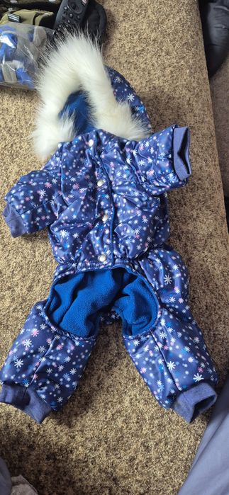 Одежда для собаки