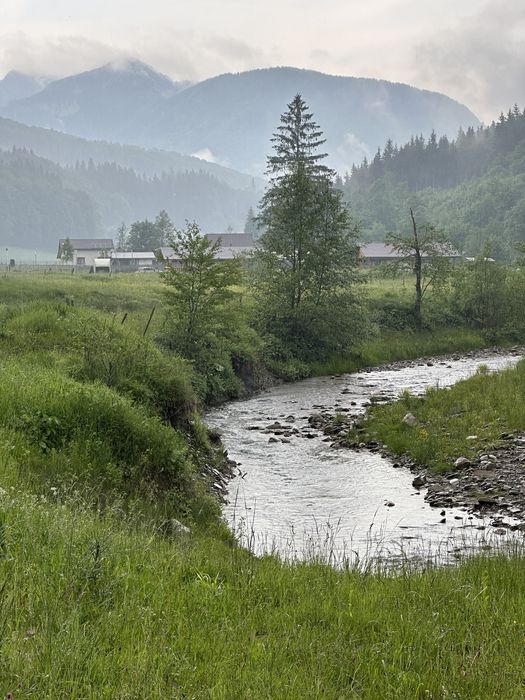 Camping Valea stanii
