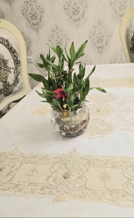 Бамбук по низкой цене