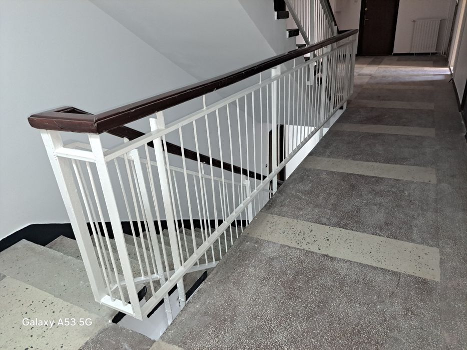 Servici profesionale de vopsire balustrade scări de bloc