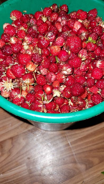 Продам ягоду клубнику дачную
