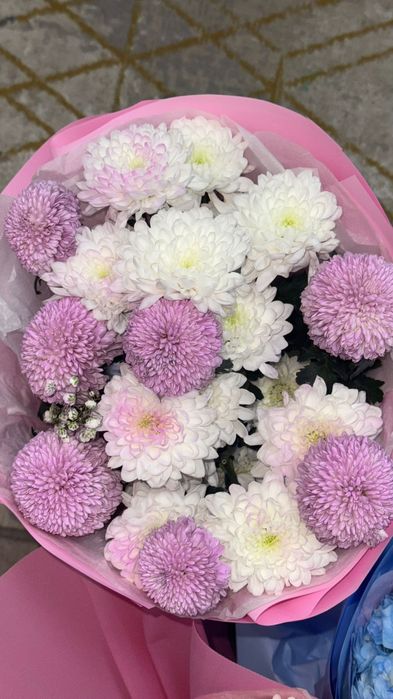 Срочно продам цветы