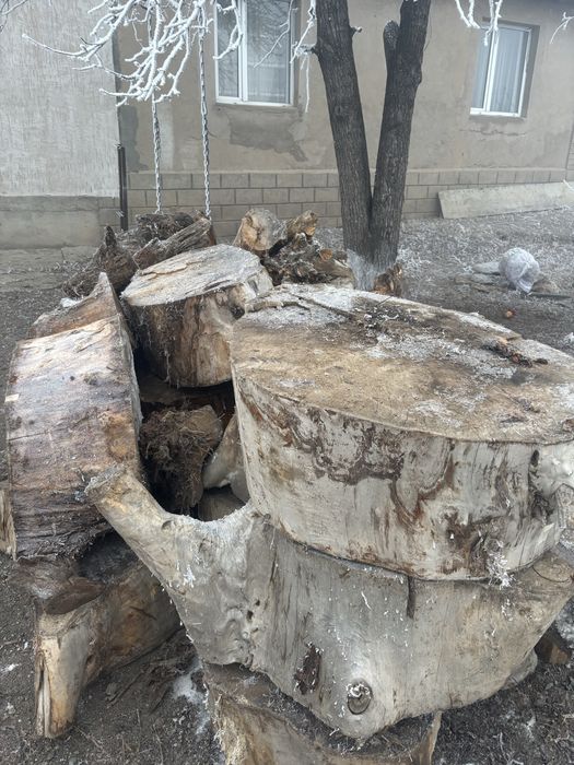 Дровы , томарлар