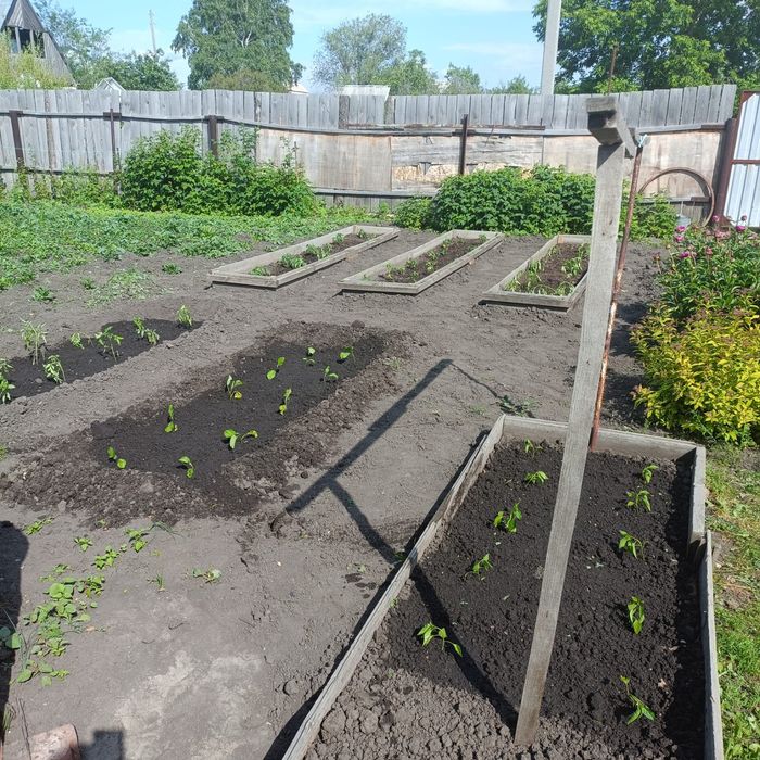 Продам Дачу, СО Чапаево