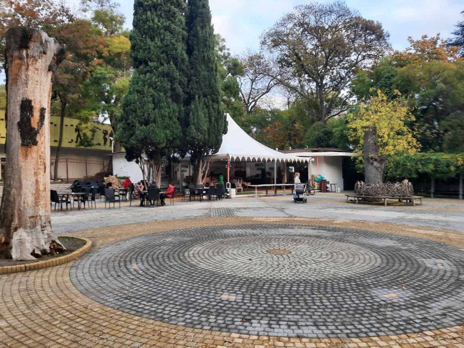 Шатра висок клас 10/10 метра