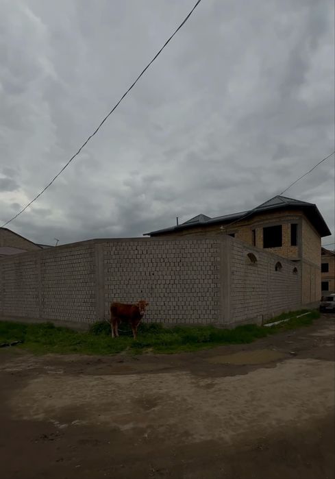 2sotix yer sotiladi Honabod Gofur diyor 2ta tarafi kocha tarsavoy