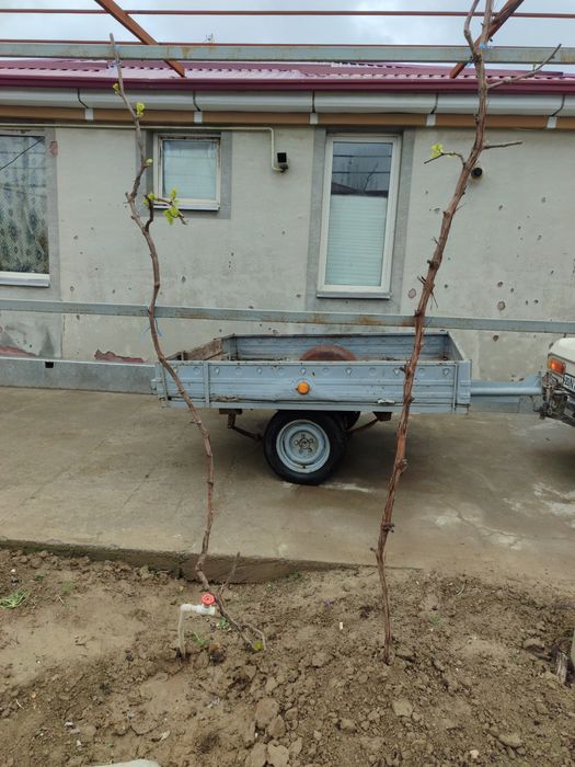 Moskvich AZLK SROCHNO Sotiladi Prisepi bilan narxi 22 million kami bor