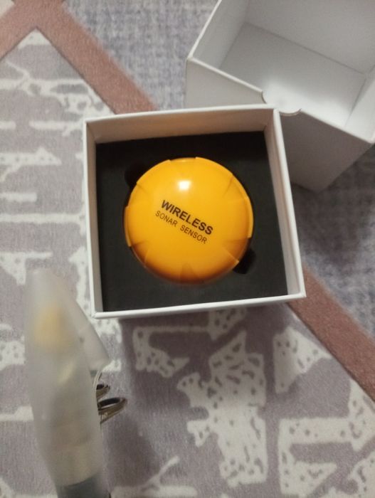 Lansete cu mulinetă și un sonar