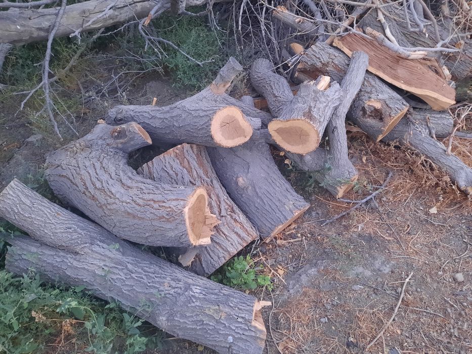 Утин сотилади тут залдори бошка хил кундалар