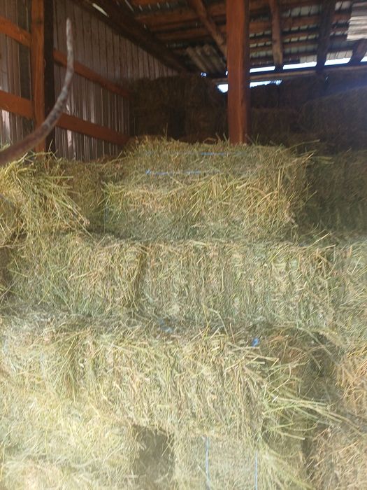 Baloti dreptunghiulari