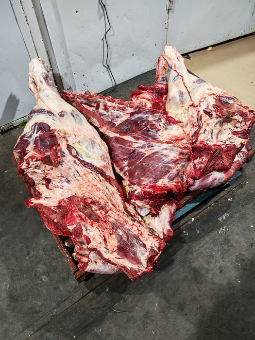 Мясо говядины говяжи