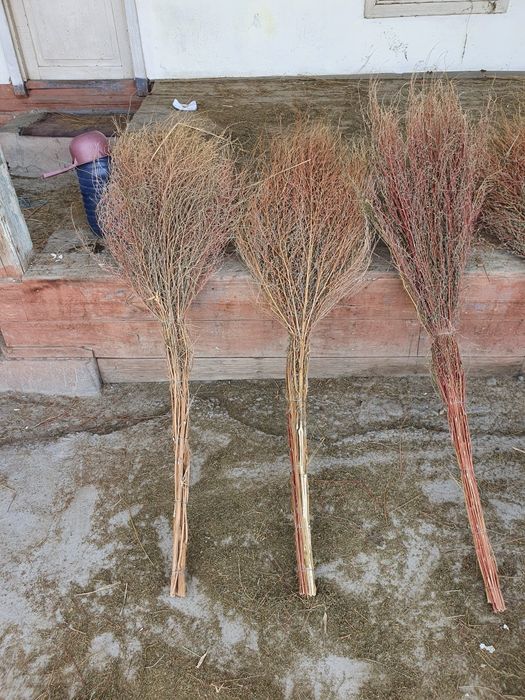 Веник сорго  метла