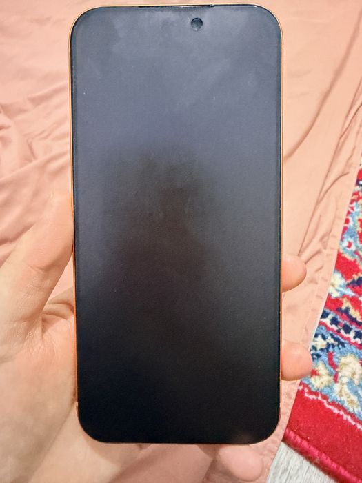 17  про макс 256 гб