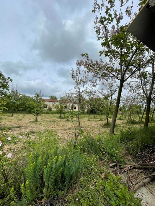 Продава се Промишлена сграда в Каблешково - 2347 кв.м за 327 €/кв.м - Снимка #13