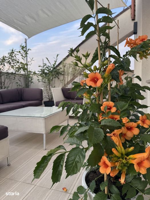 Apartament 3 camere cu terasă 133 mp