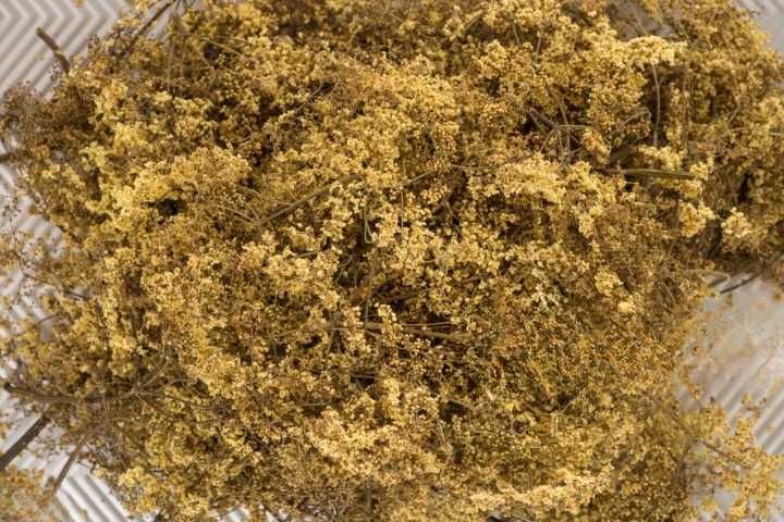 Vand flori de soc uscate!