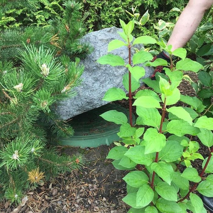 Декоративный камень