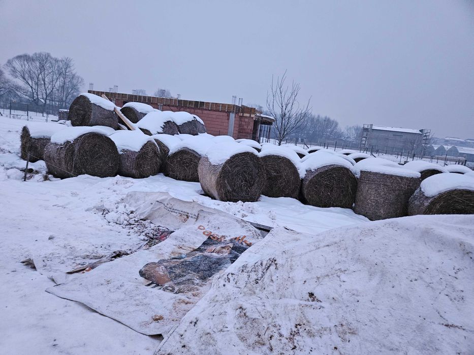 Vând baloți rotunzi de paie