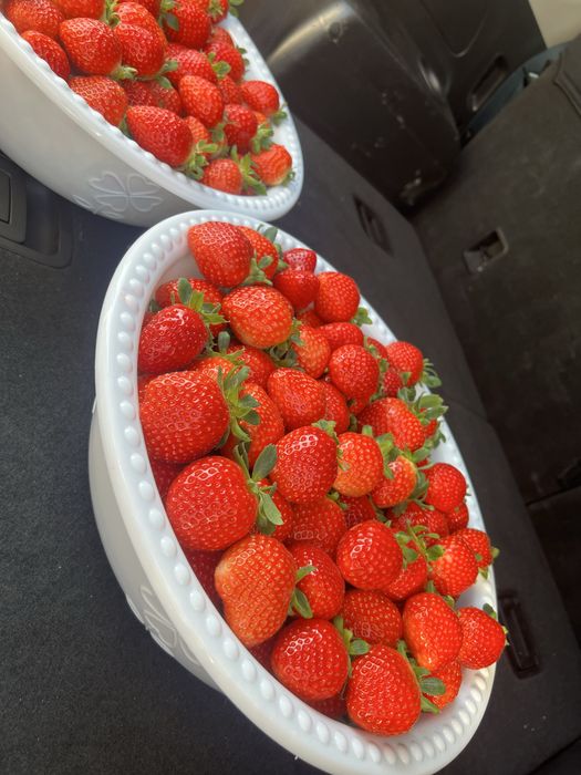 Klubnika Клубника Qulupnay OPTOM narx