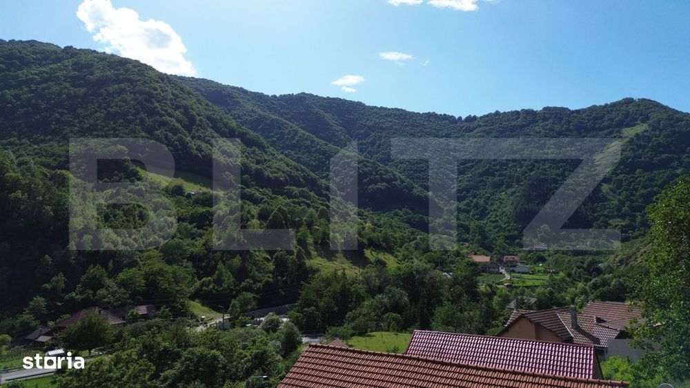 Casa traditionala - o investitie cu potential de dezvoltare, Capalna,