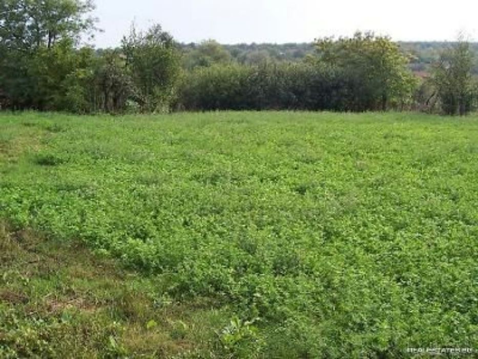 Продава се Къща в с. Славейково, Област Ямбол - 45 кв.м за 89 €/кв.м - Снимка #2