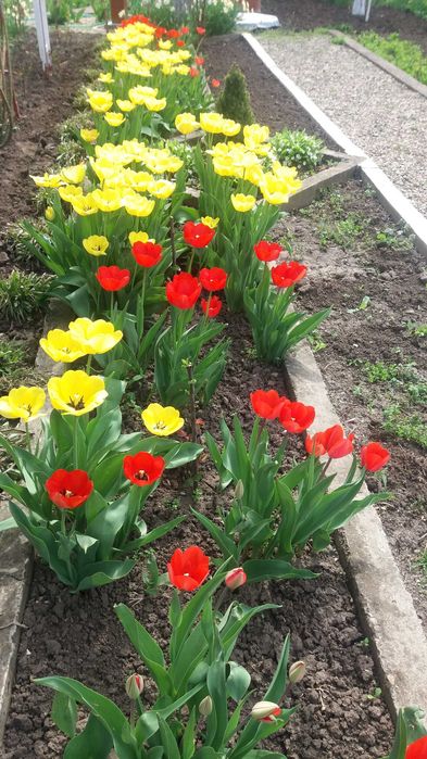 Продава се Къща в с. Бутан, Област Враца - 360 кв.м за 190 €/кв.м - Снимка #8