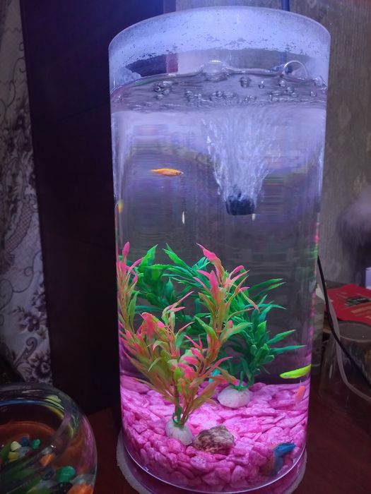 аквариум цилиндрический