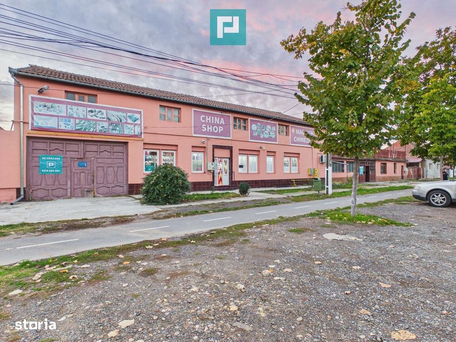 Proprietate impresionantă Sântana - 3500 mp utili