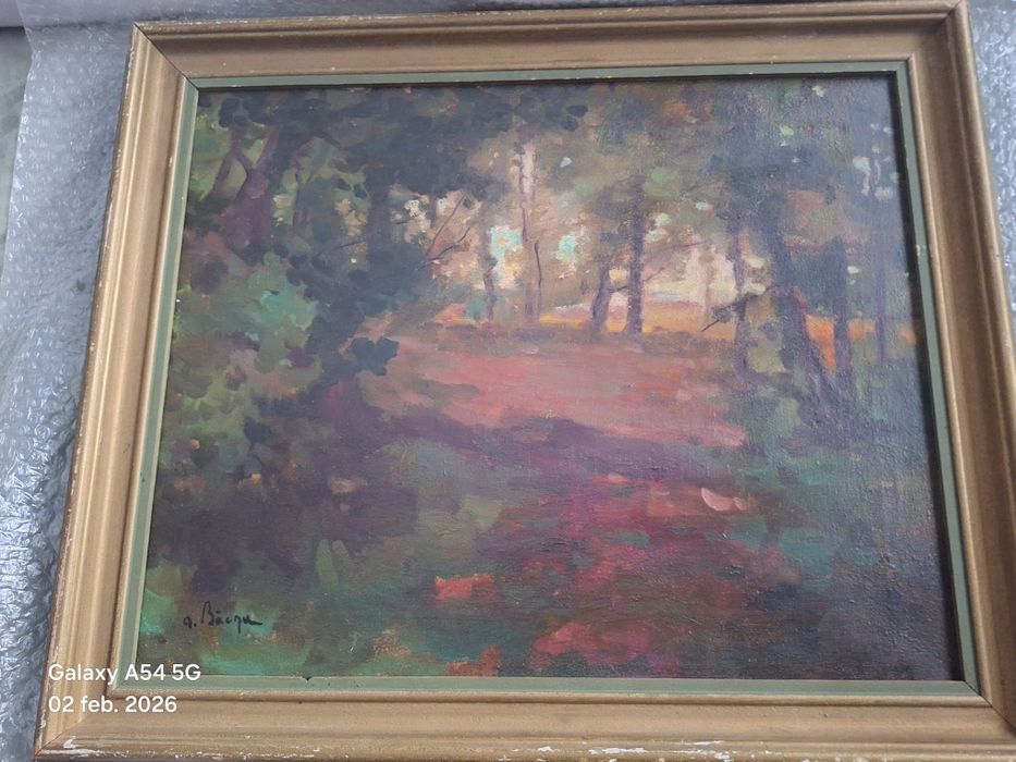 Vând tablou de Aurel Baesu