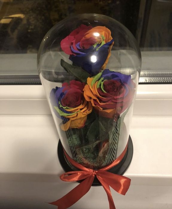 Cupola cu 3 trandafiri conservati criogenati