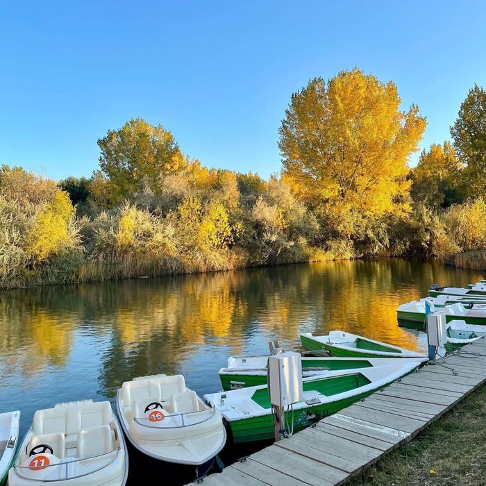 Hidrobiciclete 2,3,4,6 persoane Sunferry