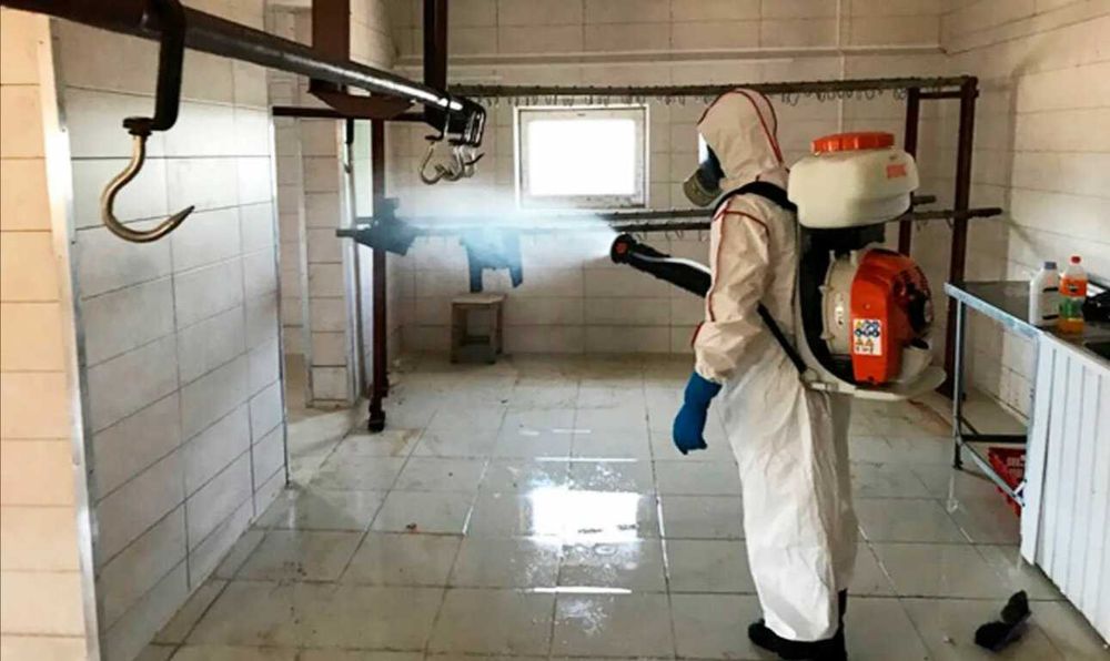 Дезинфекция | Дезинсекция | Дератизация СЭС | Уничтожение вредителей