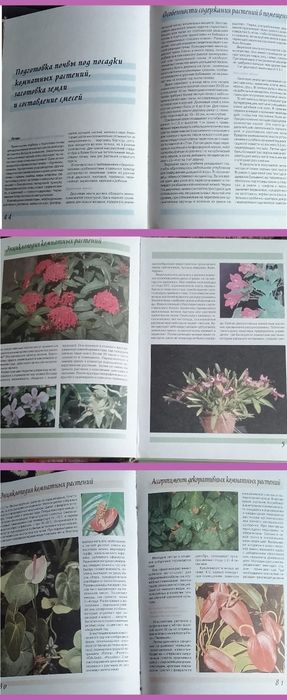 Энциклопедии продаю