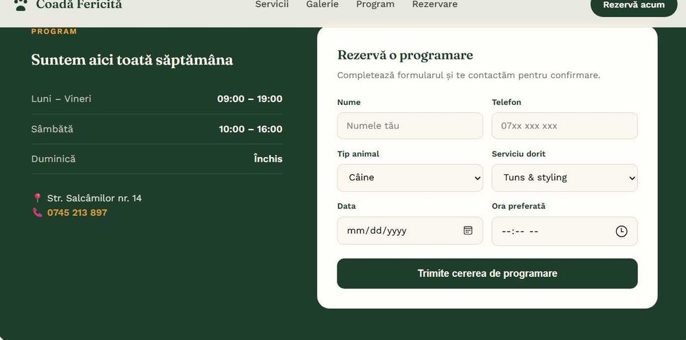 Site-uri Web pentru orice tip de afacere (RAPID)