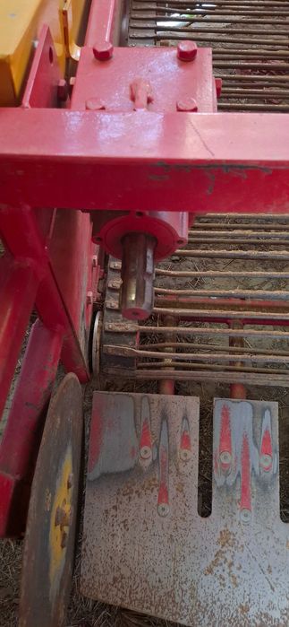 Картофовадачка едноредова  гръцка