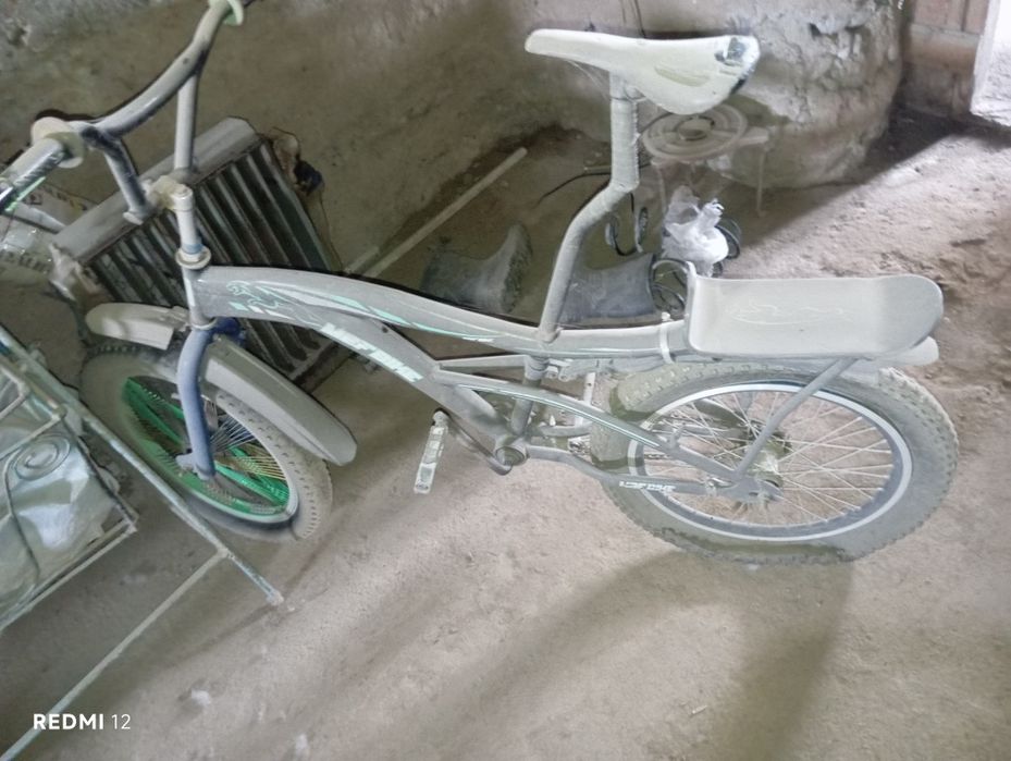 Velik bor kim olaydigonboʻlsa