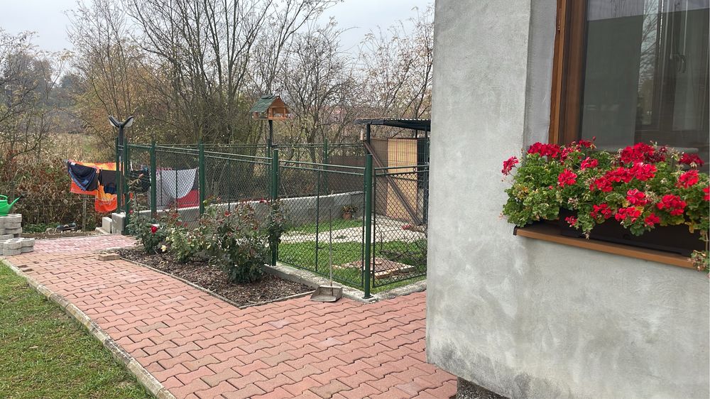 Inchiriez casa in seuca, la o fata, femeie serioasa, poate sa aiba si