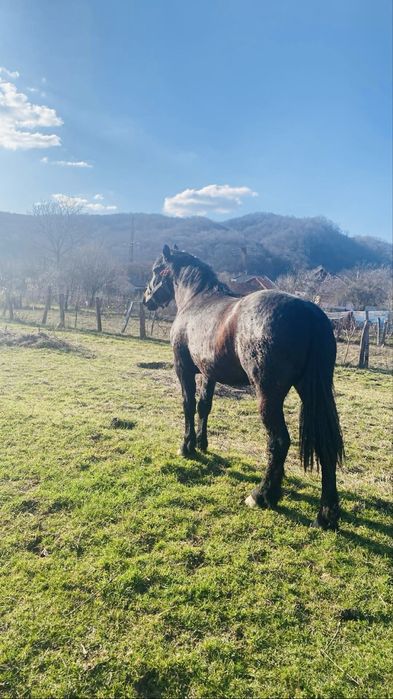 Manza de 2 ani pentru pretentiosi ne schimbata la gura