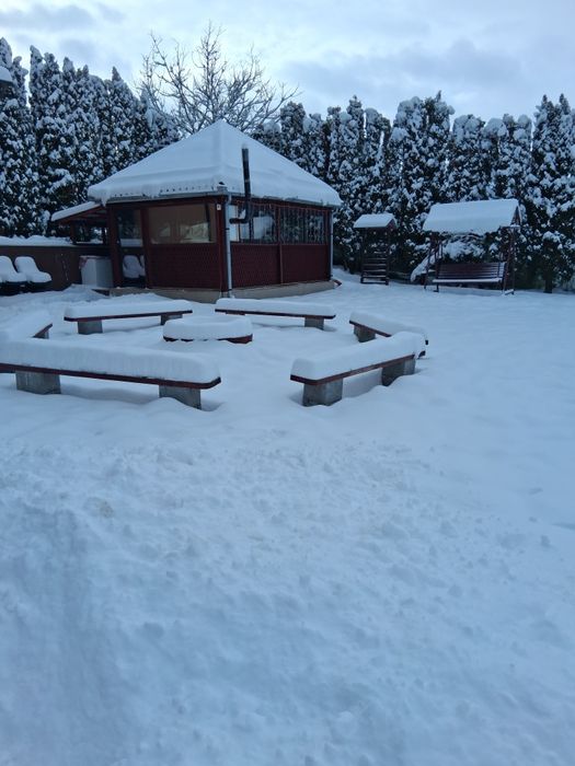 Vand Vila , Hala industriala , Casa de servitute , solar 500mp , 5000m